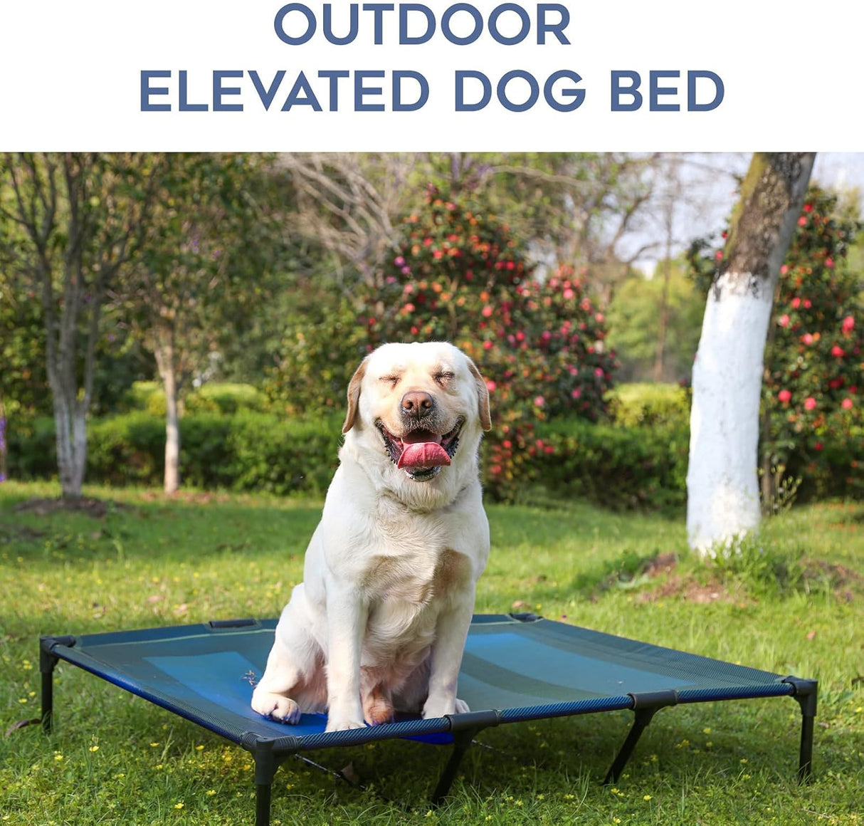 Cama Elevada para Perros Suddus, Impermeable, XL, Portátil