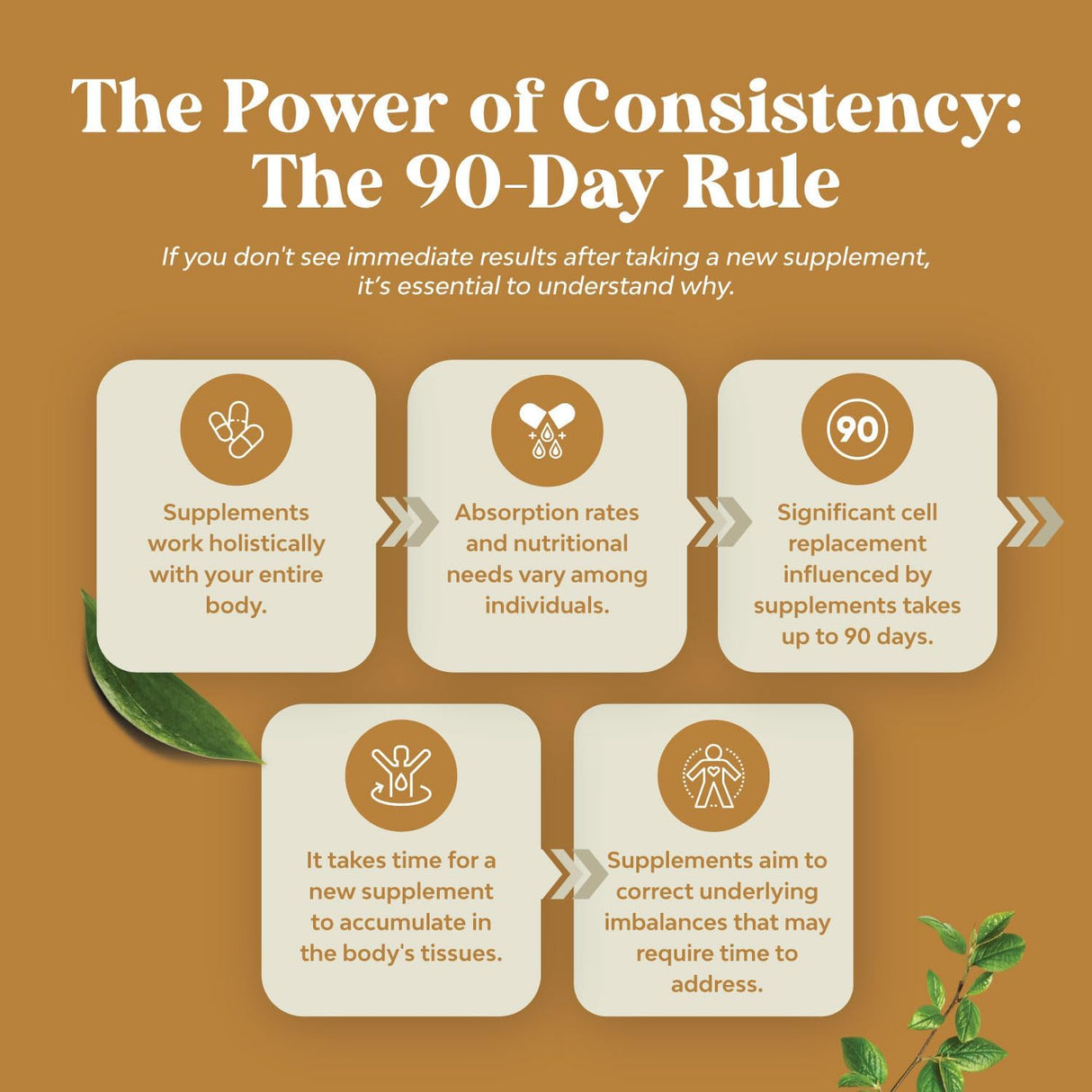 Cápsulas de Hongos Melena de León Extracto Nootrópico