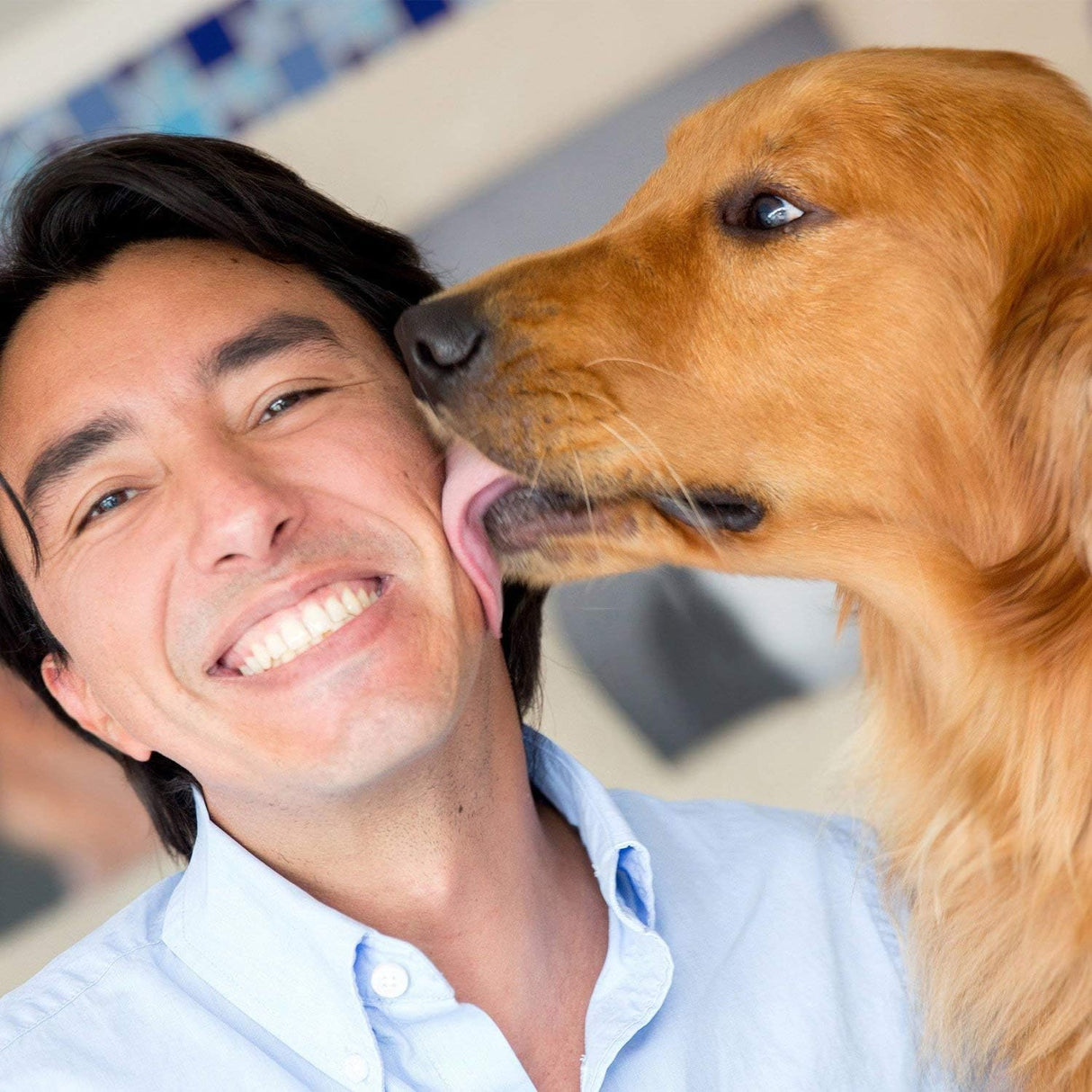 Teamoy Pañales reutilizables para perros machos, banda lavable para cachorro