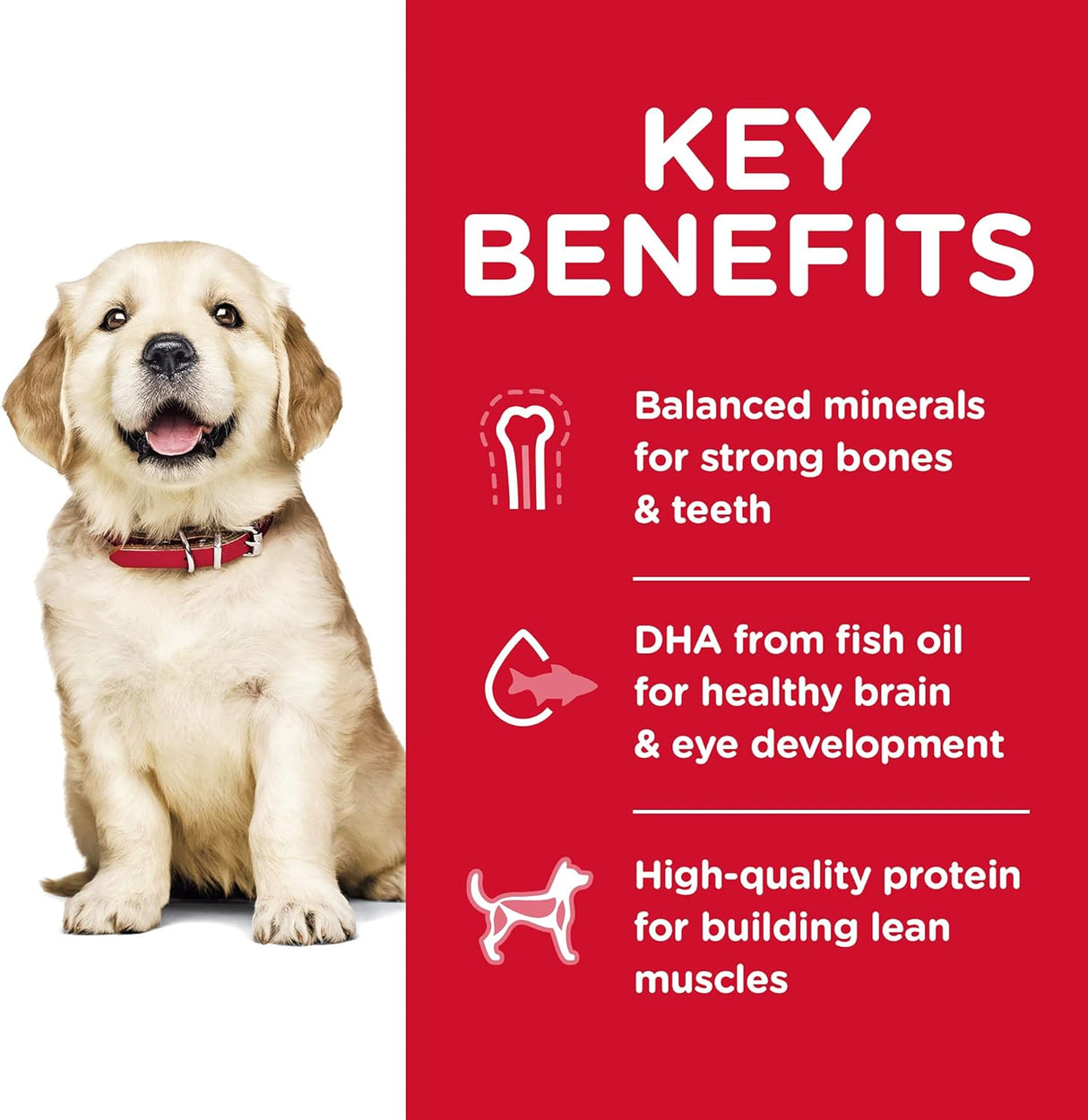 Alimento para Perros seco para razas grandes