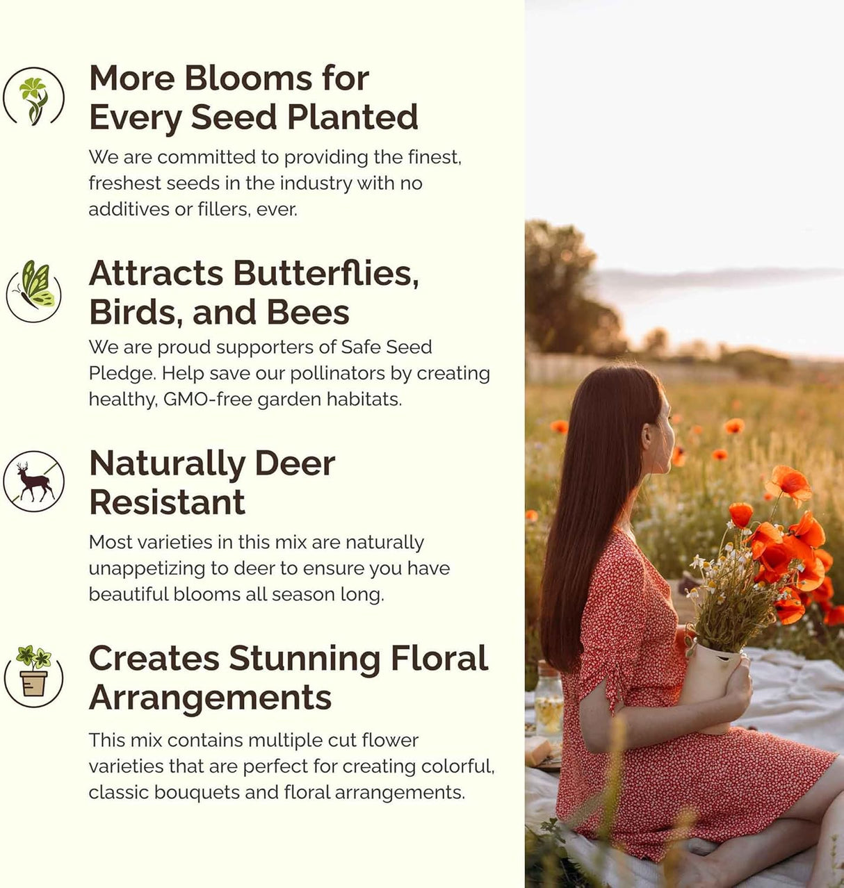 Semillas de flores silvestres , 1/4 lb 120,000+ semillas