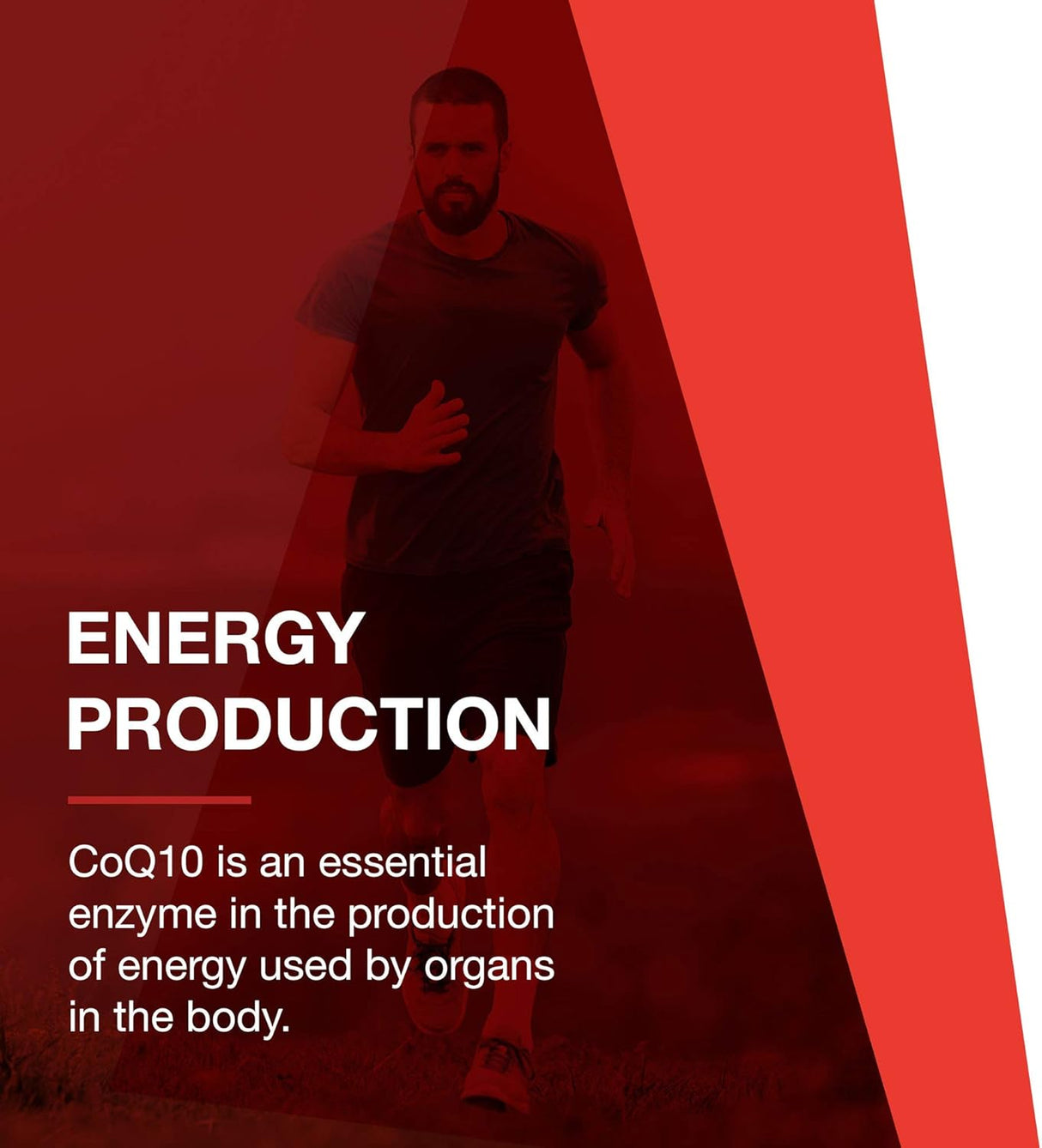 Suplementos Alimenticios Soporte cardiovascular