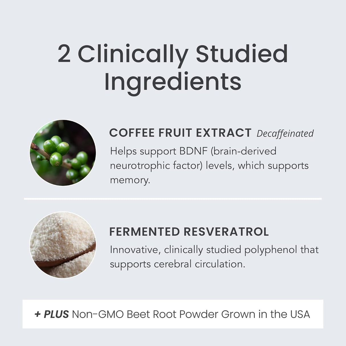 Suplemento Memory + Focus Chews - Ayuda a apoyar cerebral