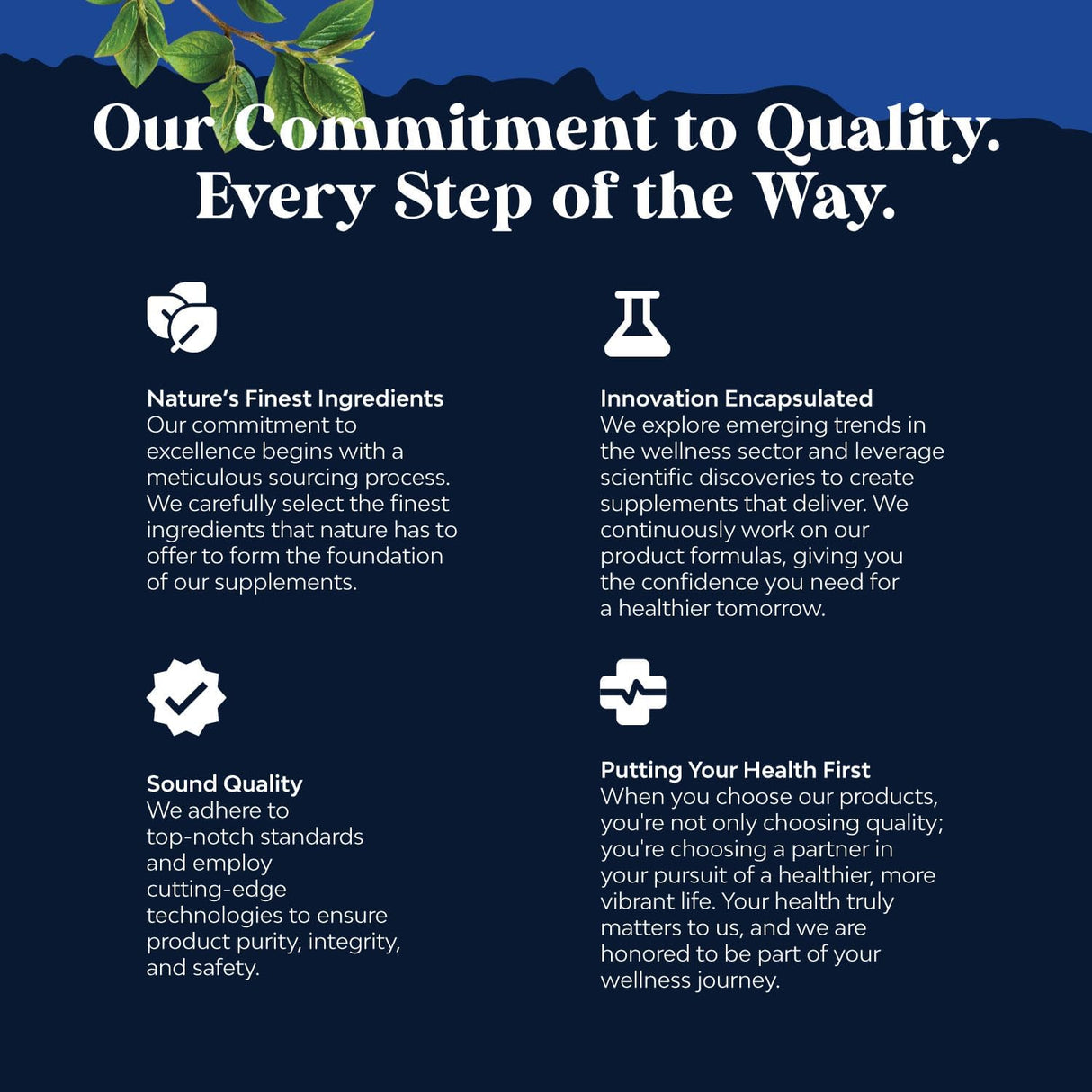 Suplemento Cápsulas de raíz de maca negra para hombres