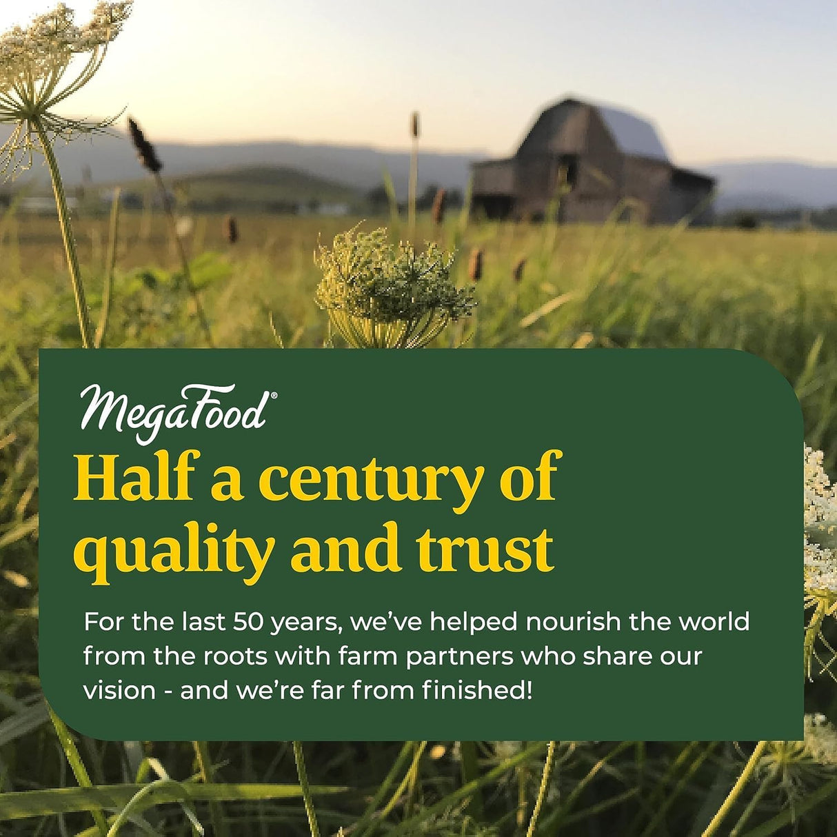 Suplemento MegaFood Magnesio 300 mg de glicinato de magnesio