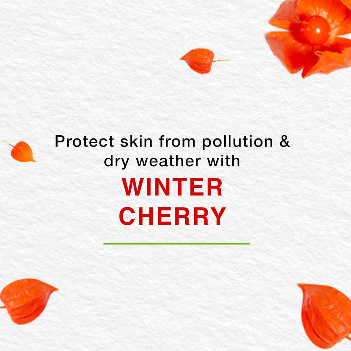 Crema nutritiva para la piel con aloe vera y cereza Himalaya