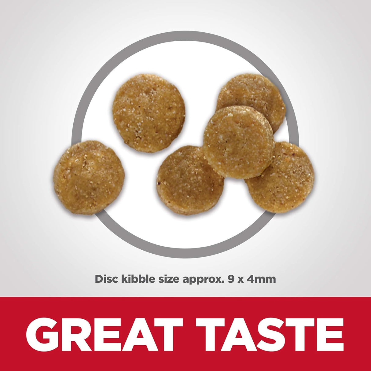 Alimento seco para gatos sin maíz receta de pollo