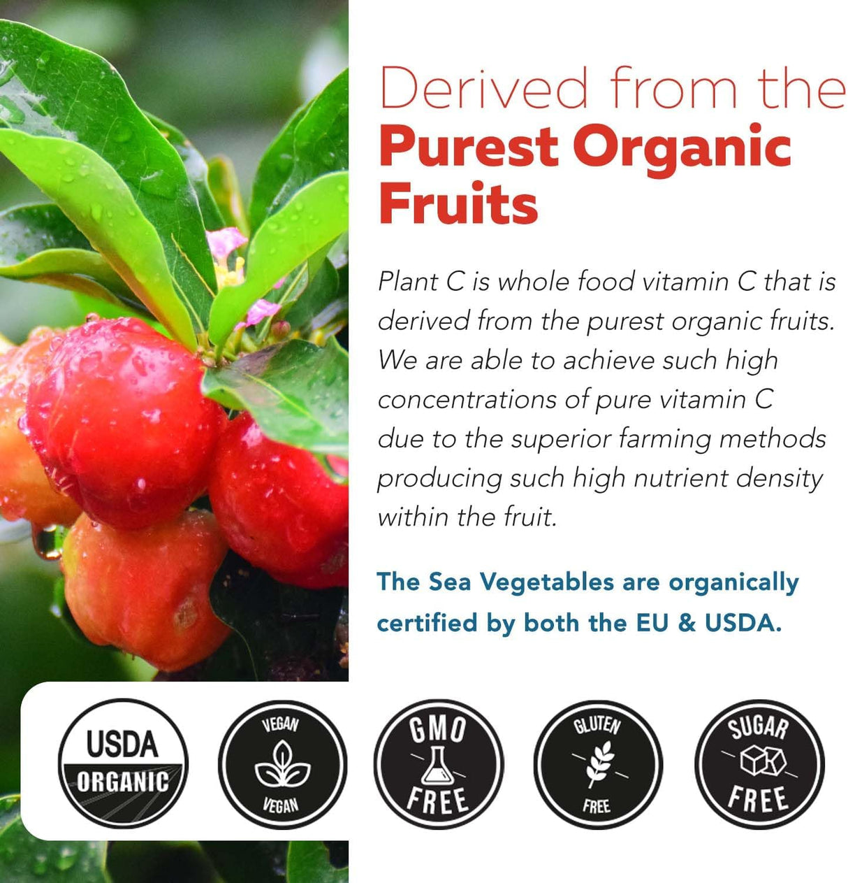 Vitamina C Orgánica de Frutas con Cofactores de Absorción