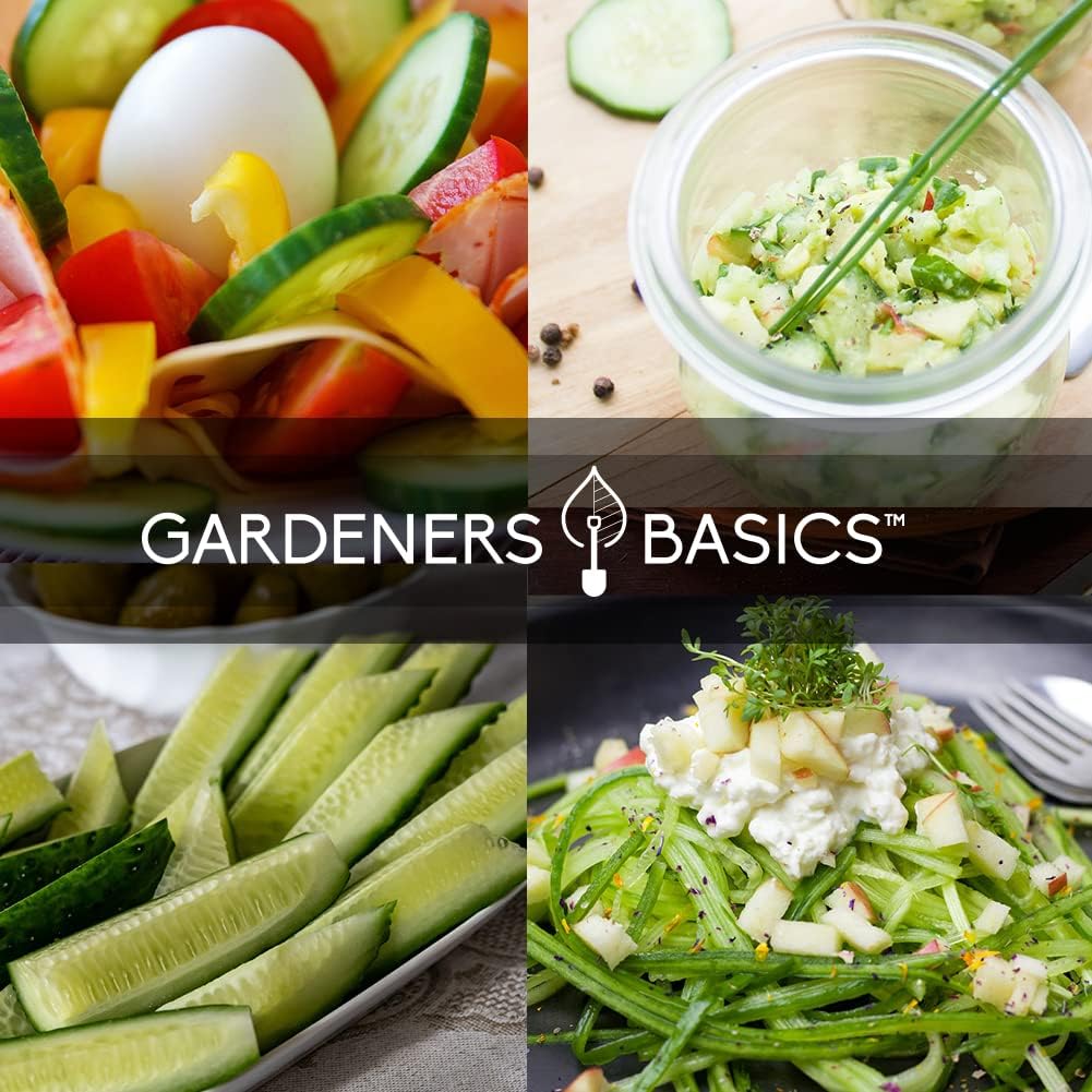 Semillas de Pepino para Plantar al Aire Libre - Variedad 8