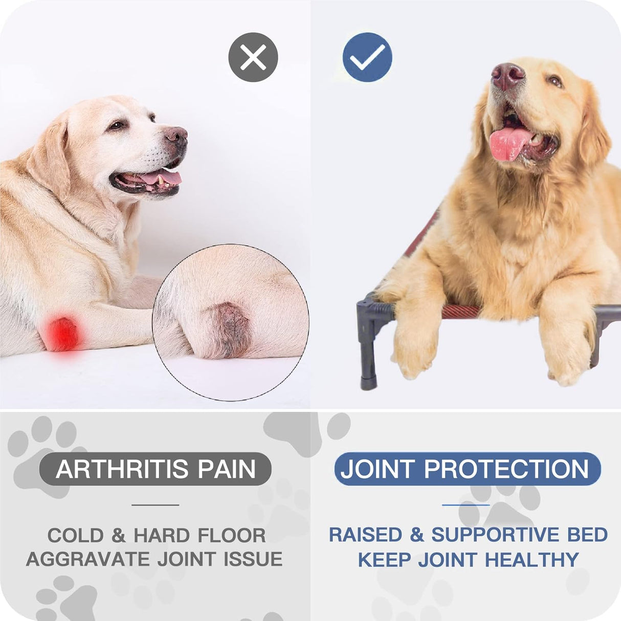 Cama Elevada para Perros Suddus, Impermeable, XL, Portátil