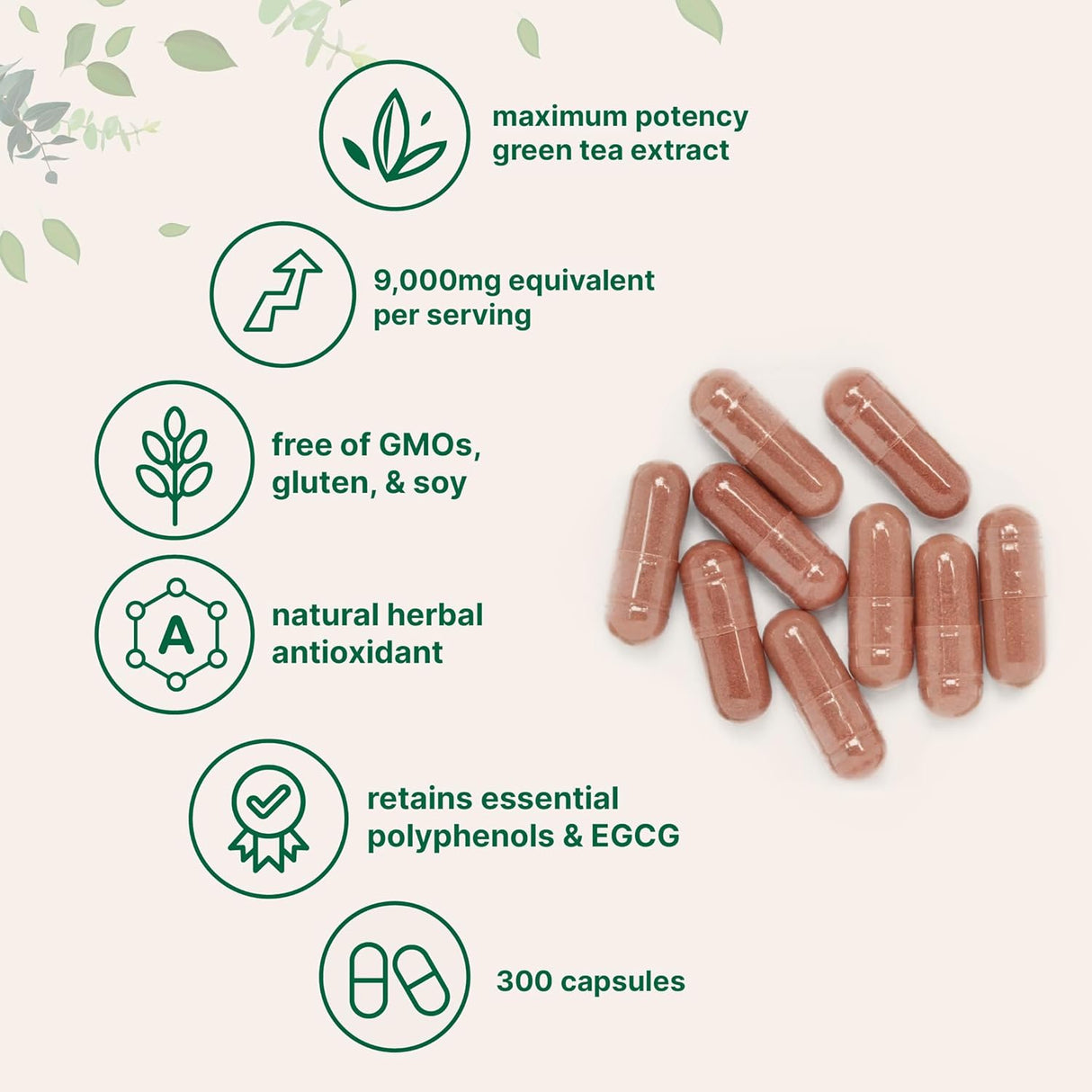 Extracto de Té Verde EGCG 9000mg, 300 cápsulas, Potencia Máxima