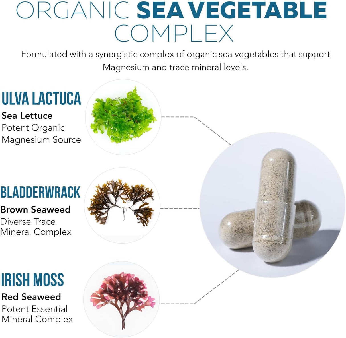 Magnesio Orgánico de Alimentos Integrales - 250 mg