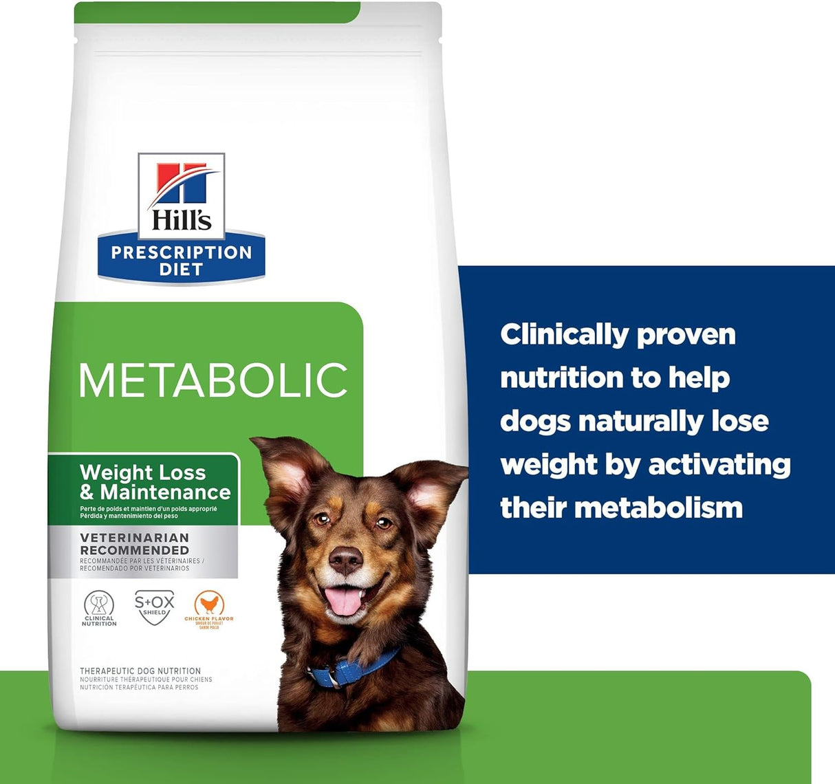 Alimento para Perros seco con sabor a pollo