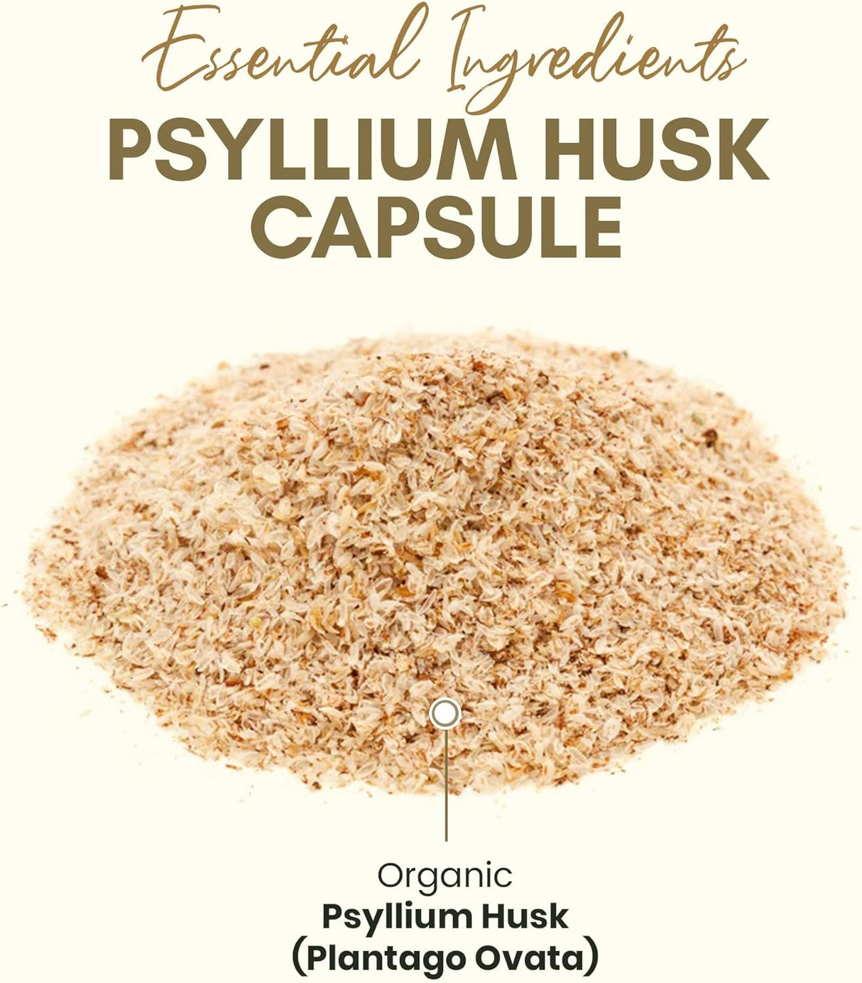 Cápsulas de Psyllium Husk, Suplemento Natural, Salud Digestiva