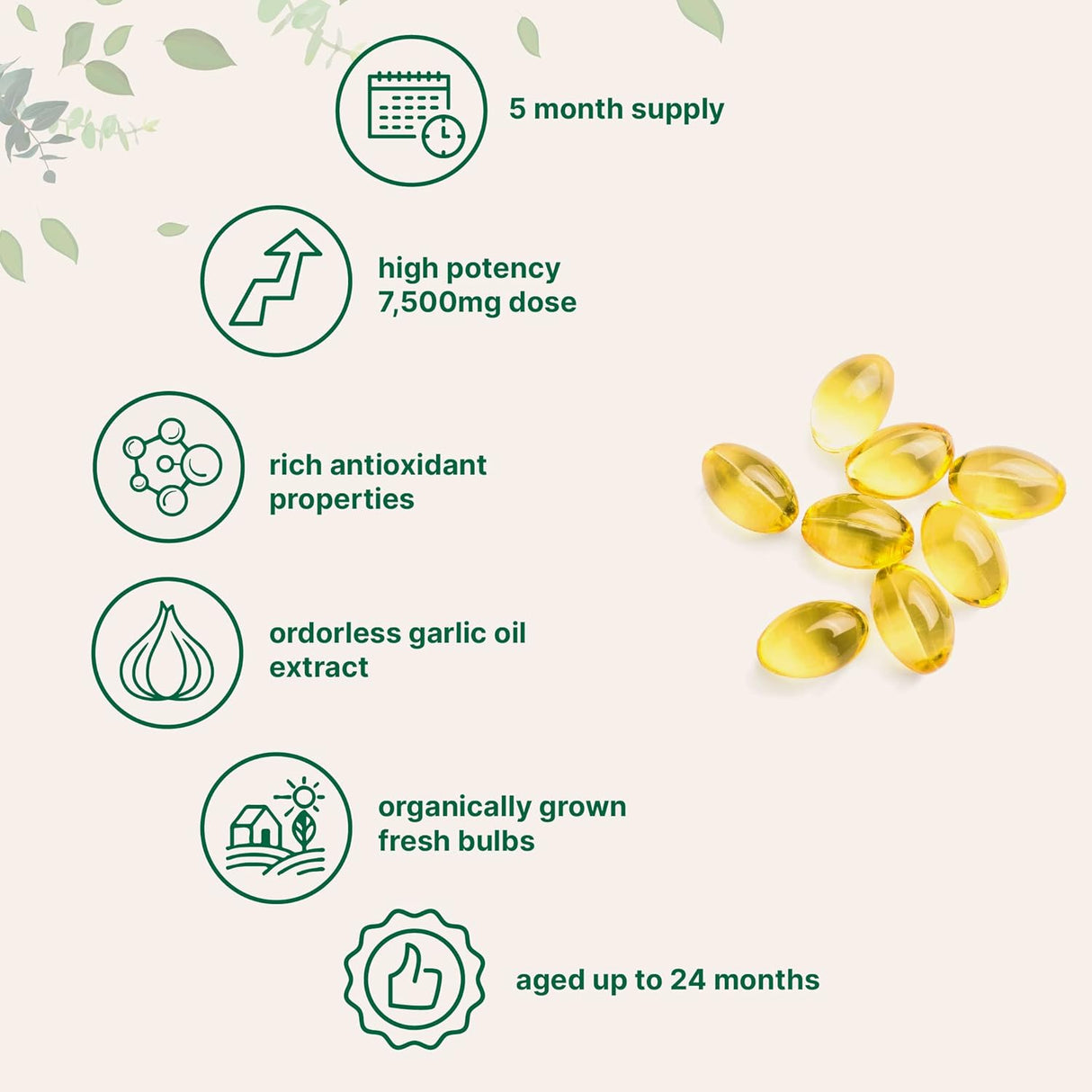 Suplemento Micro Ingredients Ajo inodoro 7500 mg 300 cáp