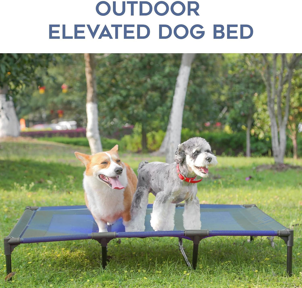 Cama Elevada para Perros Suddus, Impermeable, XL, Portátil