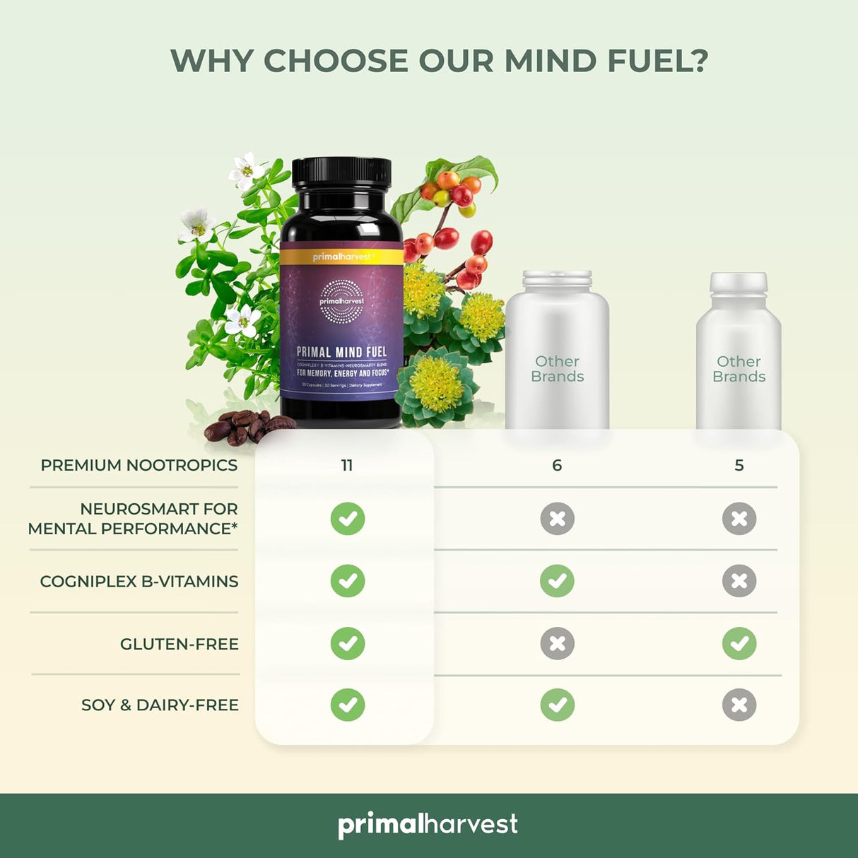 Suplemento Cerebral: Enfoque, Energía y Claridad - Primal Mind Fuel