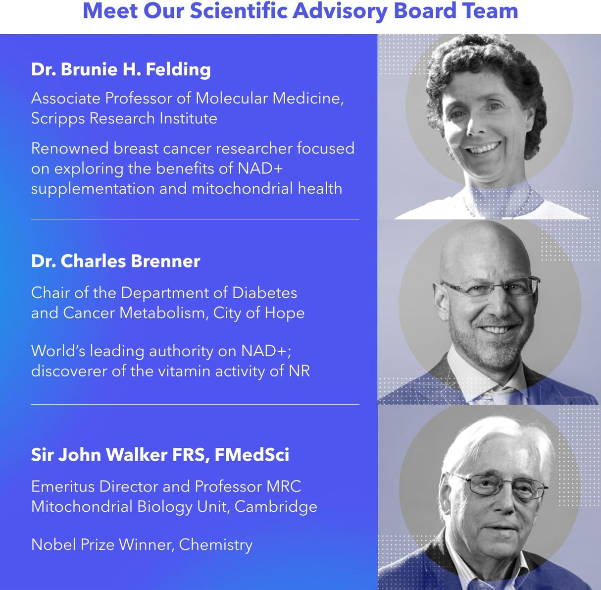 Suplementos Alimenticios potenciador envejecimiento