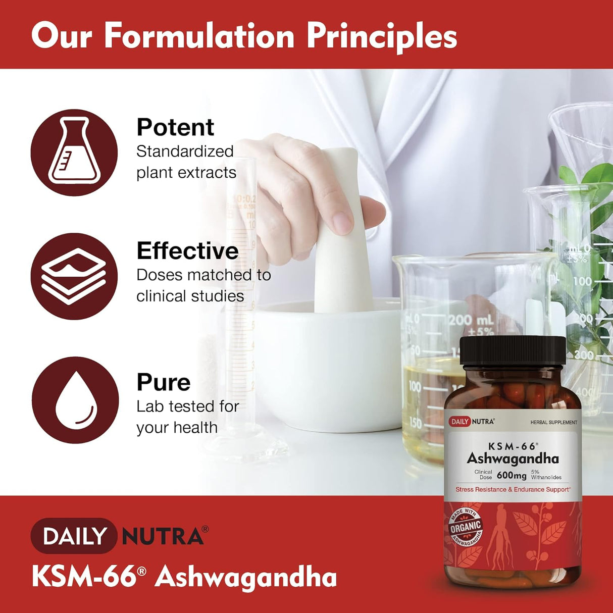 Suplementos Alimenticios Ashwagandha Extracto de raíz 600 mg