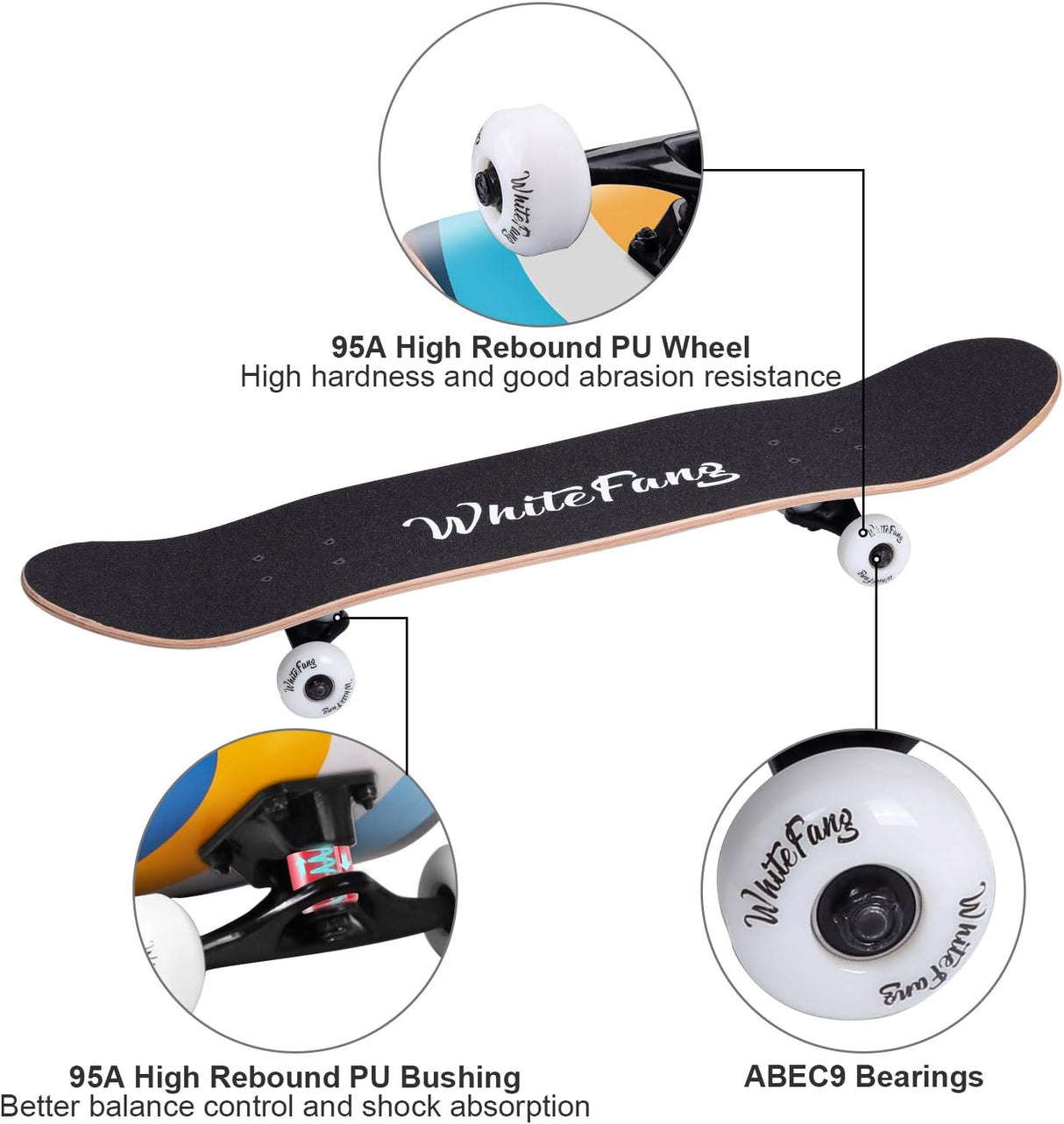 Skateboard Completo para Principiantes 31 x 7.88, 7 Capas