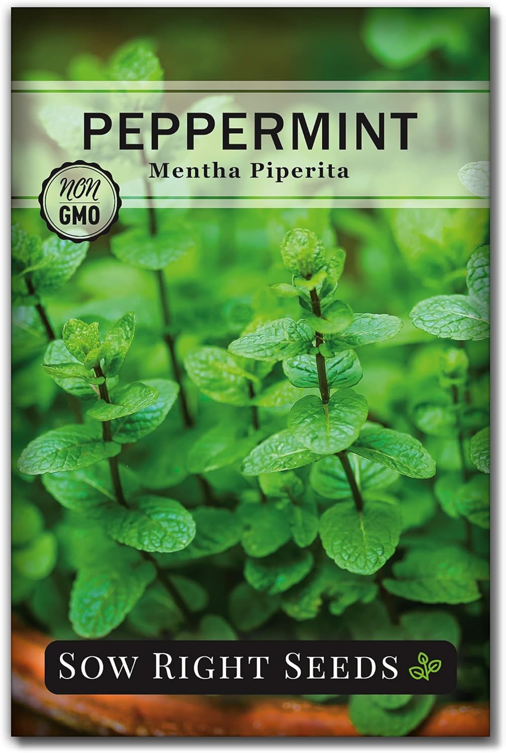Semillas de Menta - Sow Right Seeds - No-GMO y Herencia - 1 paquete