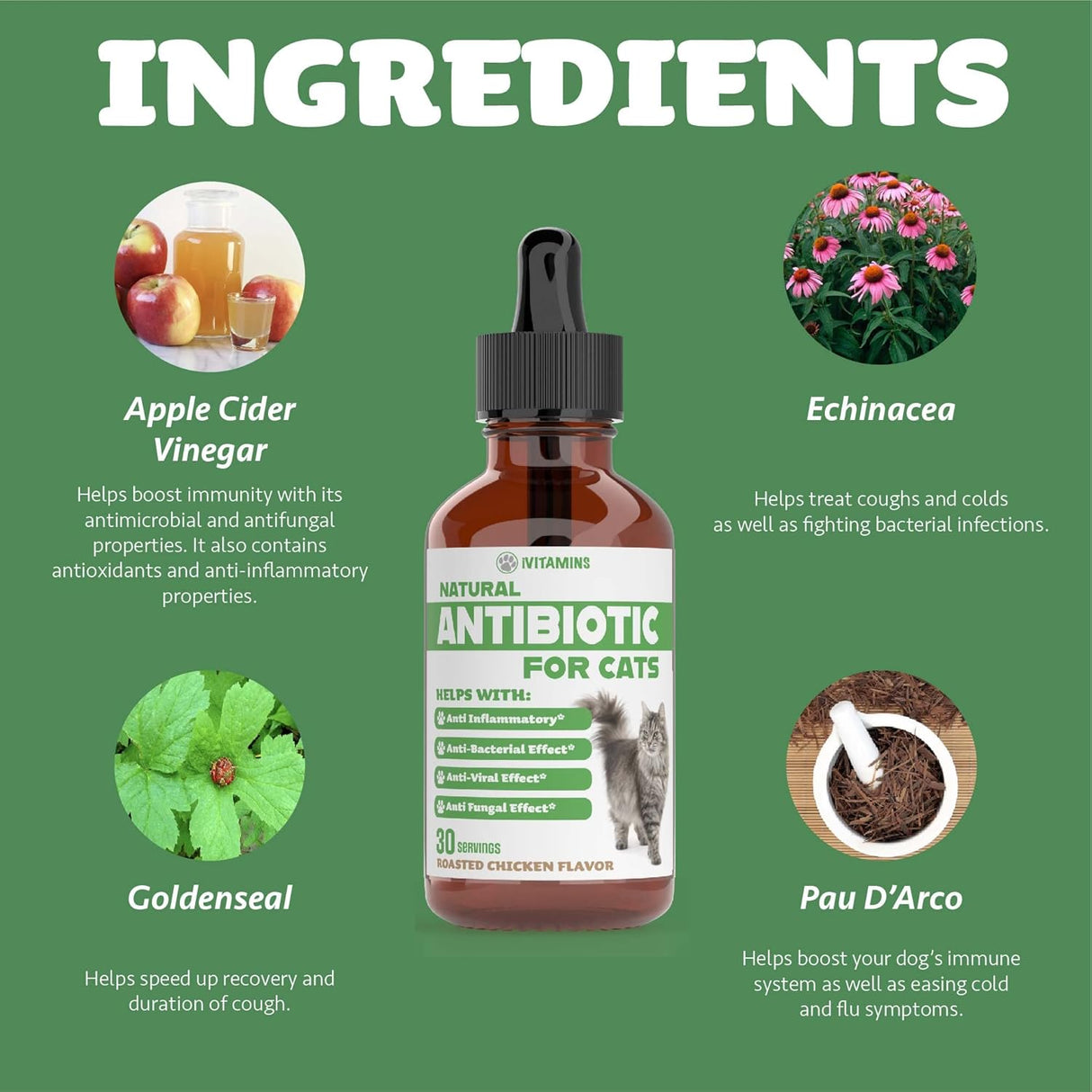 Suplementos para gatos, Antibióticos para gatos