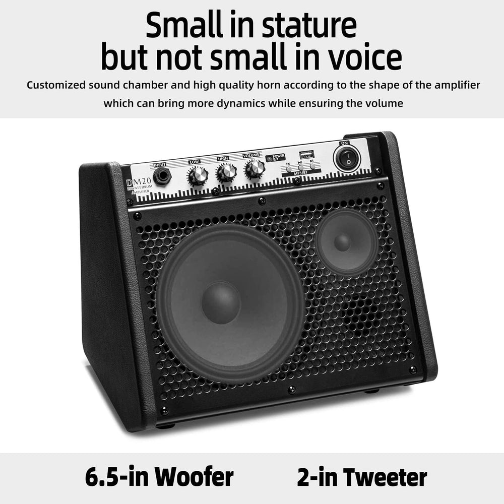 Amplificador Personal Bluetooth 20W con USB y Cable Antiruido