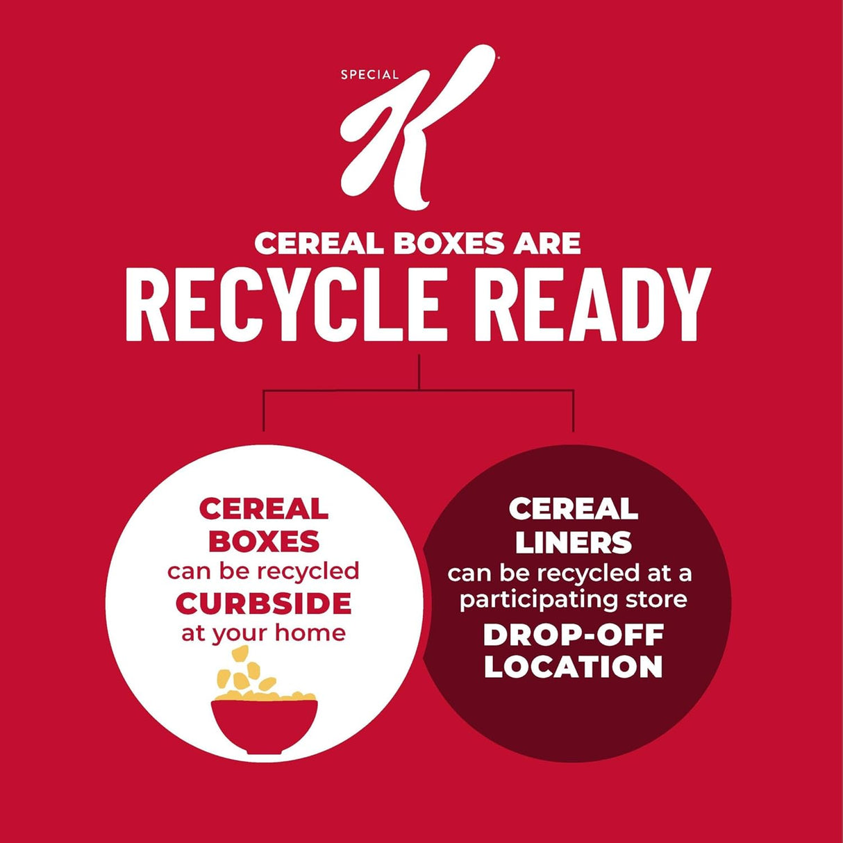 Cereal Kellogg's Special K con Fibras, Tamaño Familiar, 19.2oz