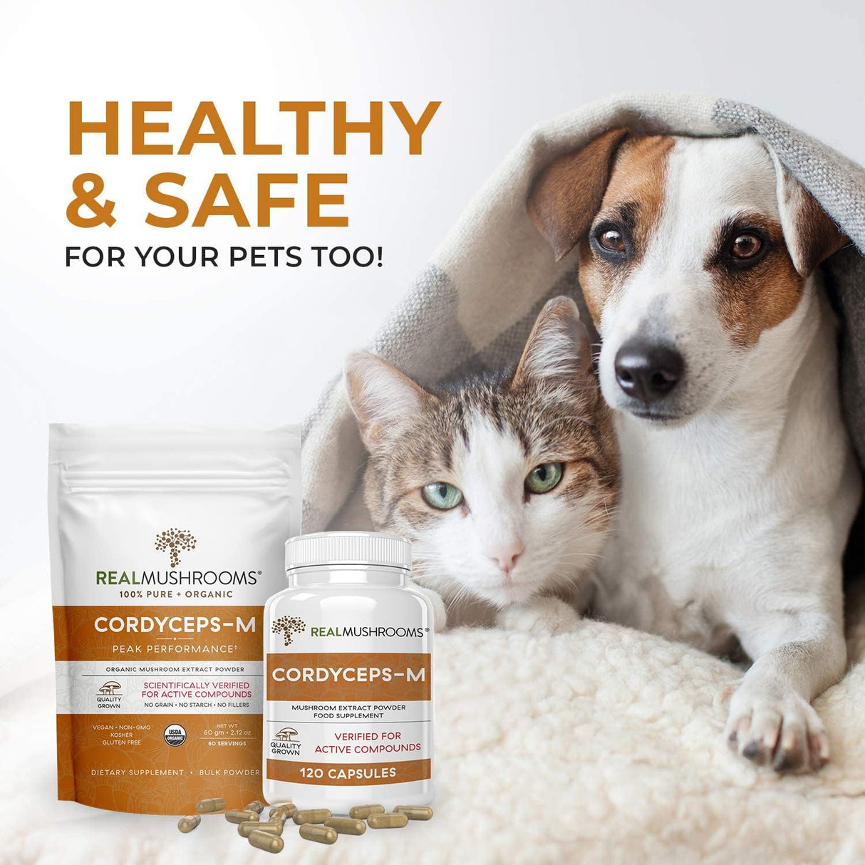 Suplemento en polvo de extracto de hongos Mejora la energía