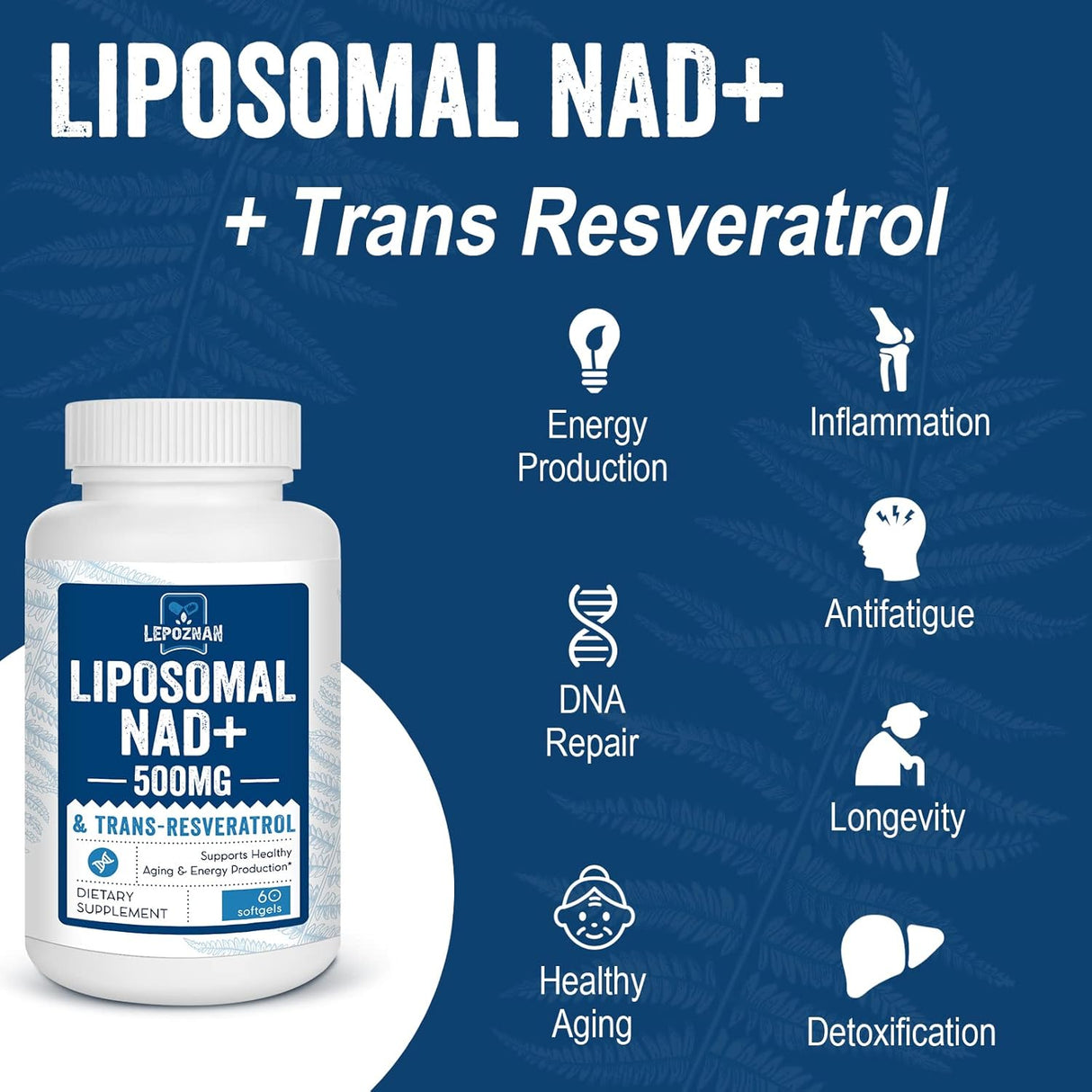 Suplementos Alimenticios para envejecimiento saludable