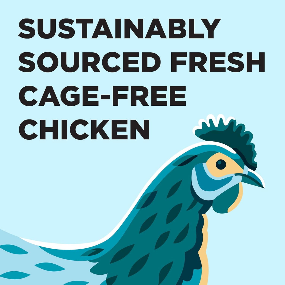 BIXBI Liberty Dry Food Receta de pollo y salmón para gatos de interior, 3 libras