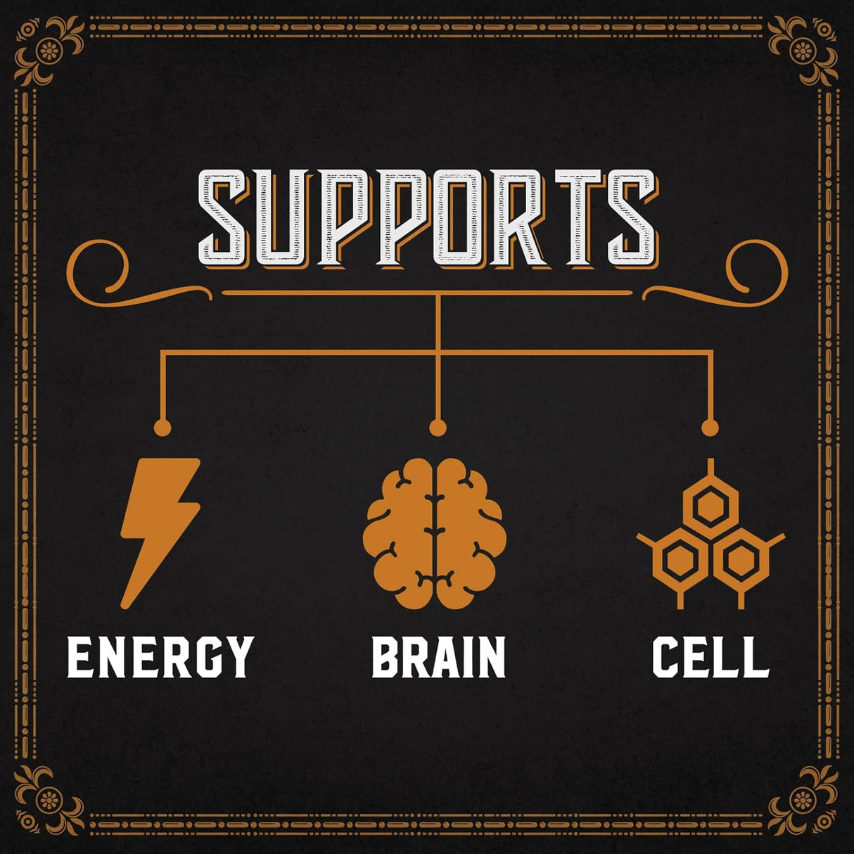 Suplemento liposomal NAD de 1800 MG Research Labs
