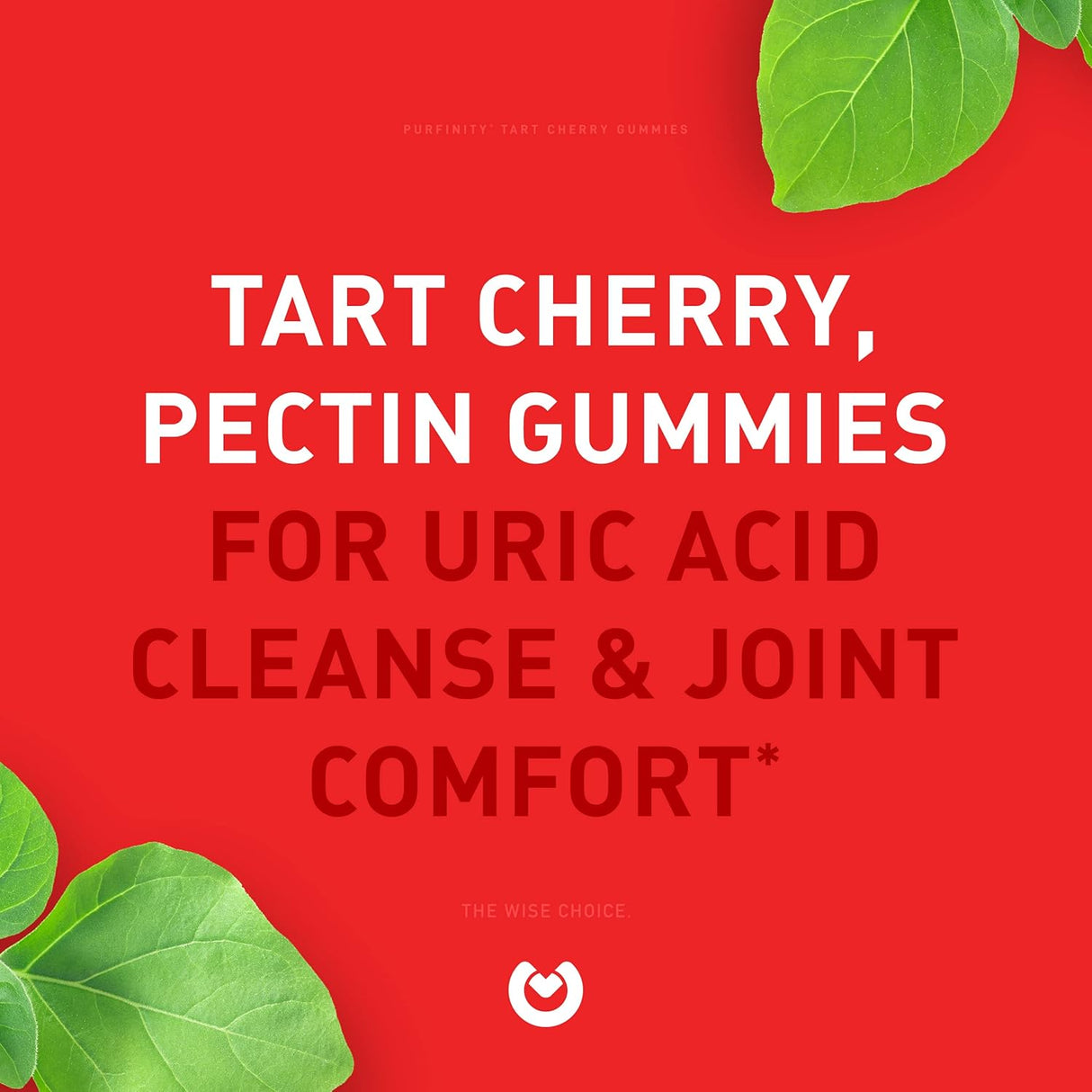 Suplementos Alimenticios Extracto de Cereza Alternativa