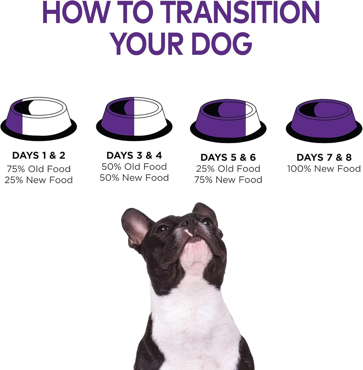 Alimento seco natural para perro de raza pequeña Wellness