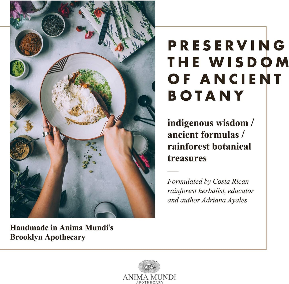 Suplemento adaptogénico de setas, Anima Mundi, gotas de 2oz