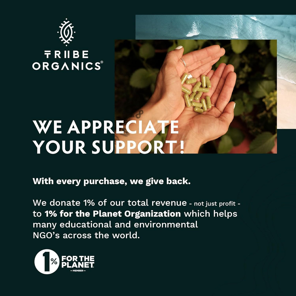 Suplemento orgánico de hierbas Shatavari Balance hormonal