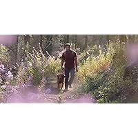 RUFFWEAR, Grip Trex - Botas de perro con suela de goma para senderismo y correr