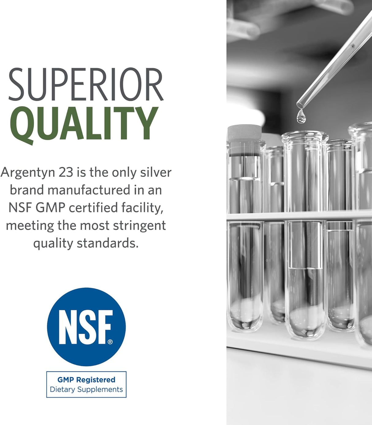 Suplementos Alimenticios de plata