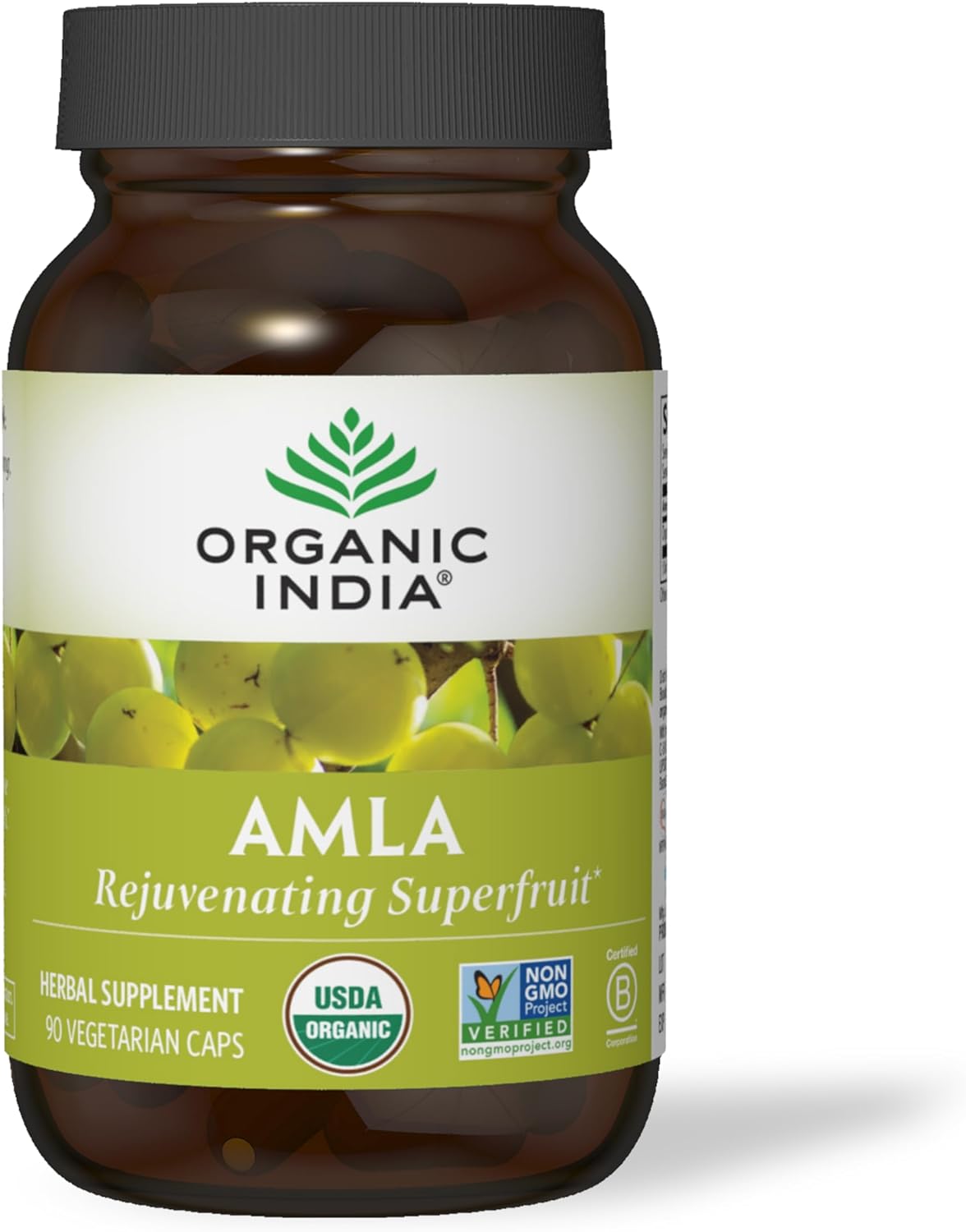 Suplemento de Amalaki Orgánico con Vitamina C, 90 cápsulas