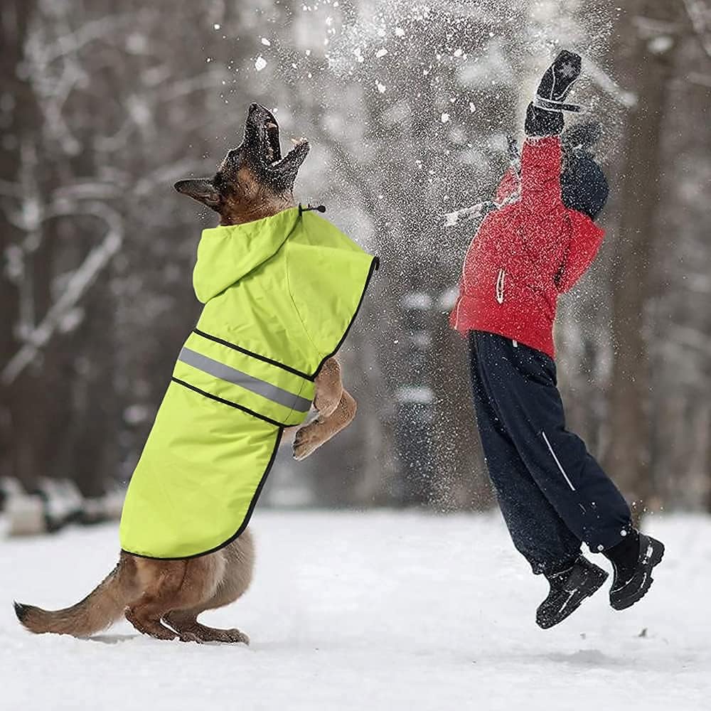 Capa de Lluvia para Perros - Chaqueta Impermeable Ajustable - Mediana
