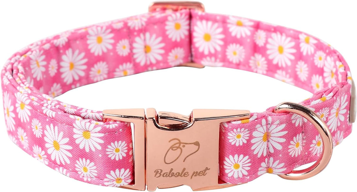 Collar de perro con hebilla metálica de seguridad ajustable