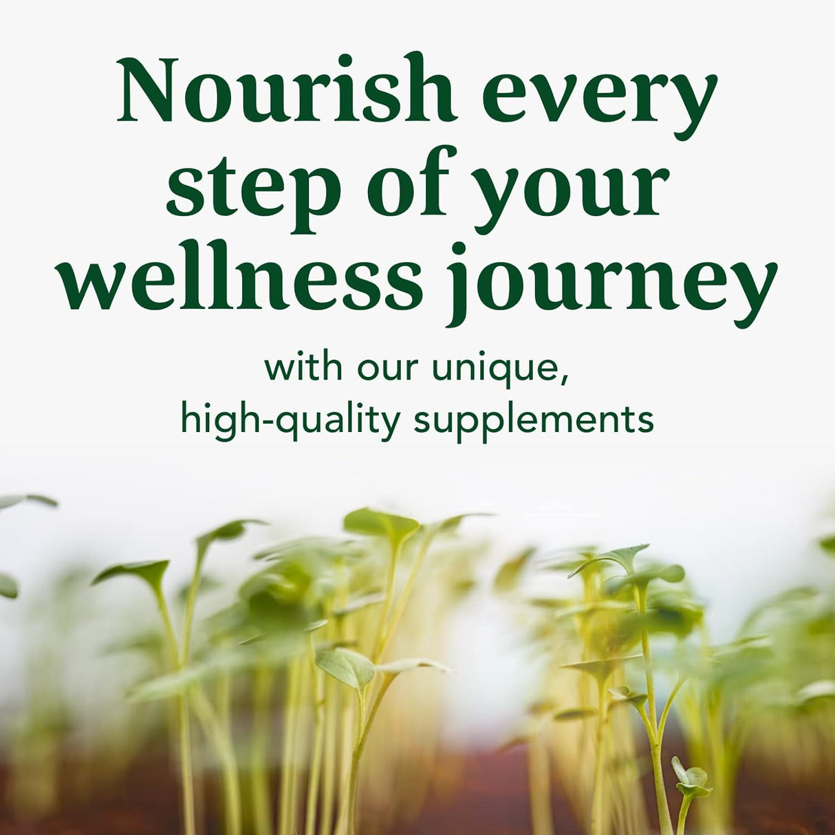 Suplementos Alimenticios constructor de sangre