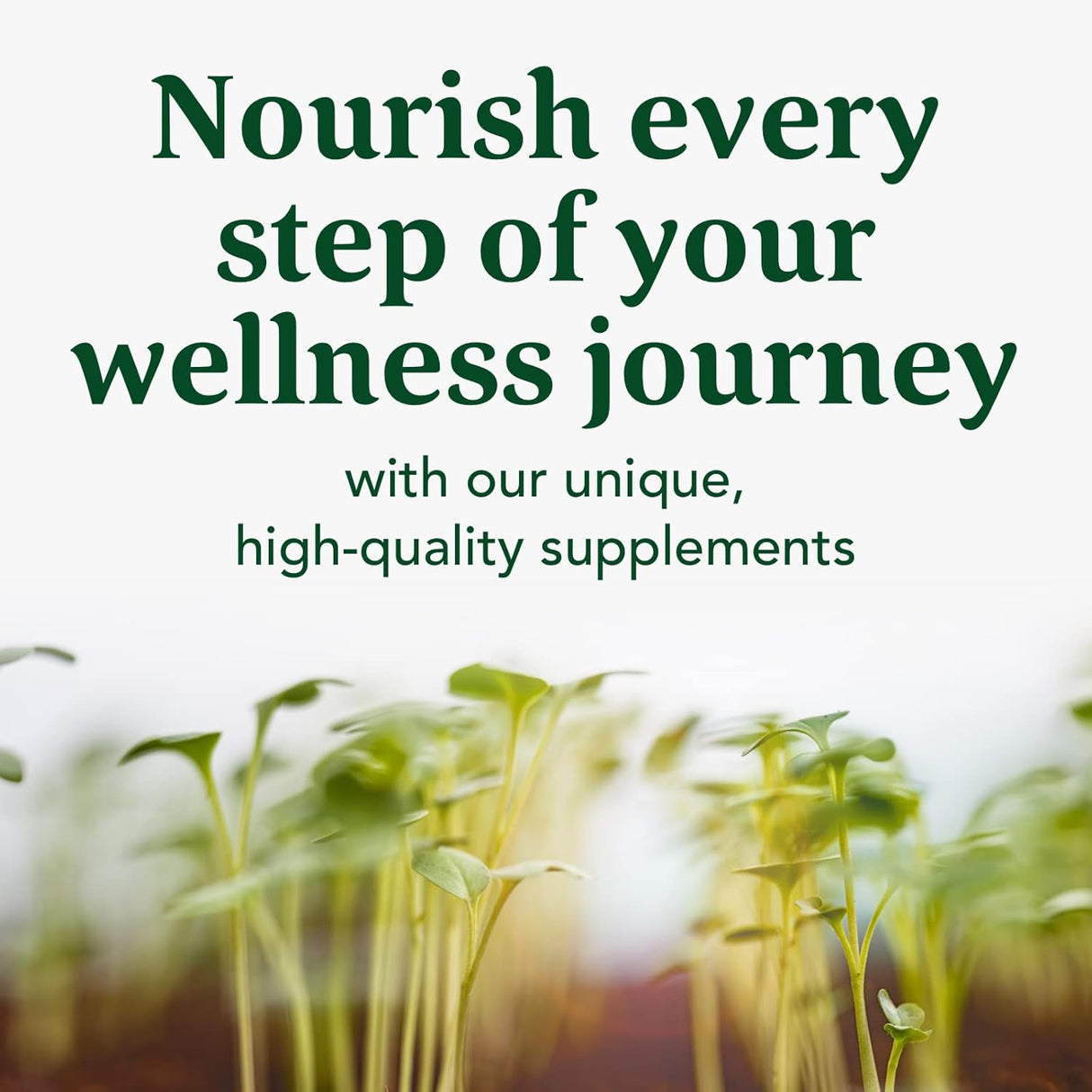 Suplemento Comprimidos de suplemento de hierro Blood Builder