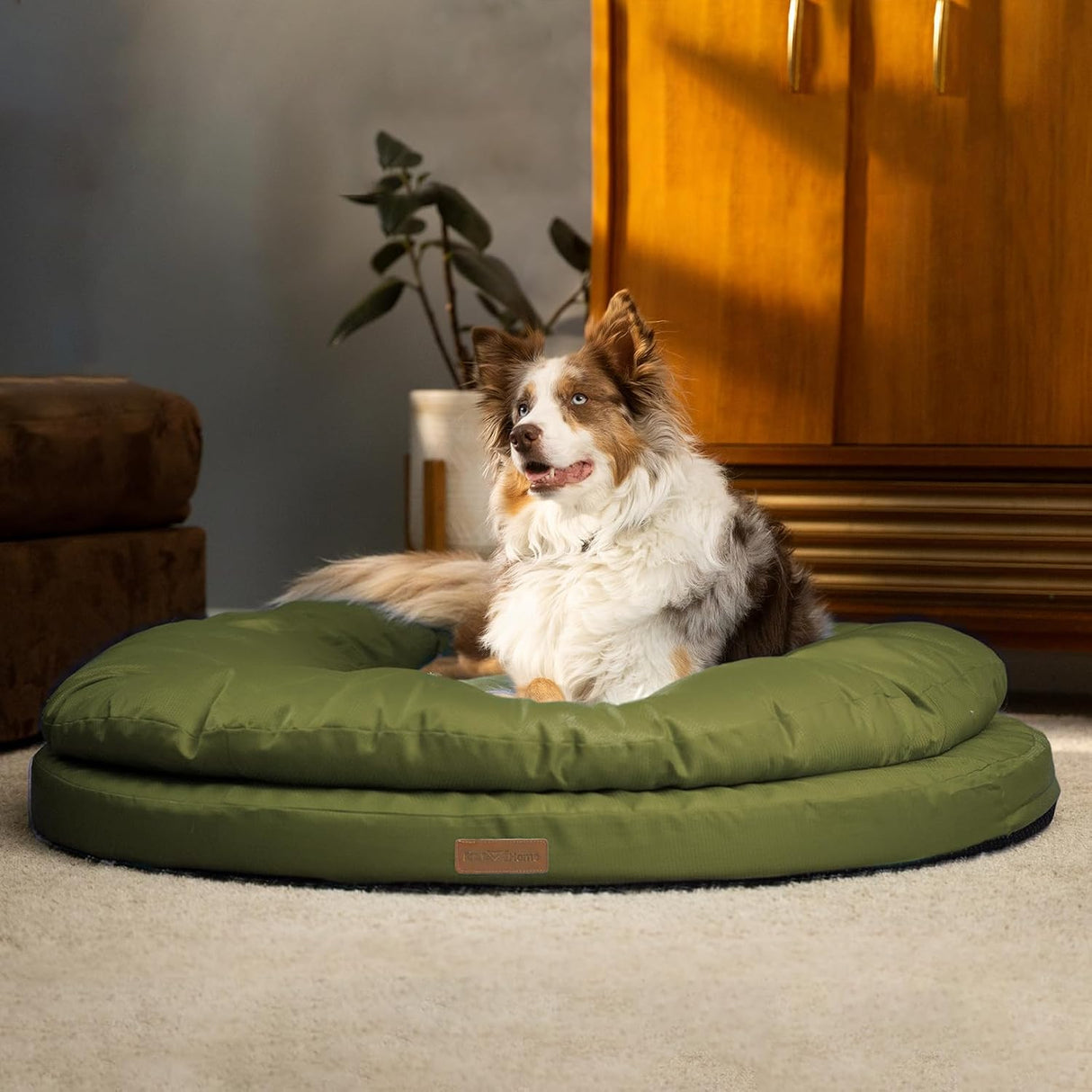 Cama ortopédica para perros grandes ClevaHome, doble capa, lavable