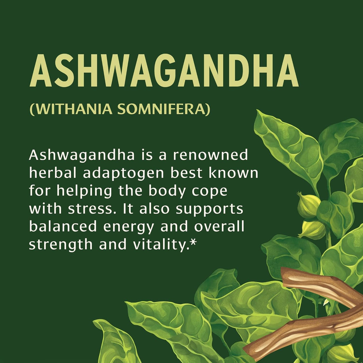 Tabletas de Ashwagandha Banyan Botanicals – Orgánico, 90 pcs