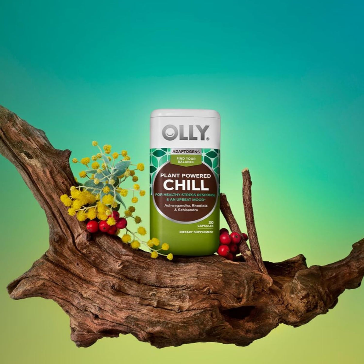 OLLY Adaptógeno Chill, Ashwagandha suplemento de apoyo 30un