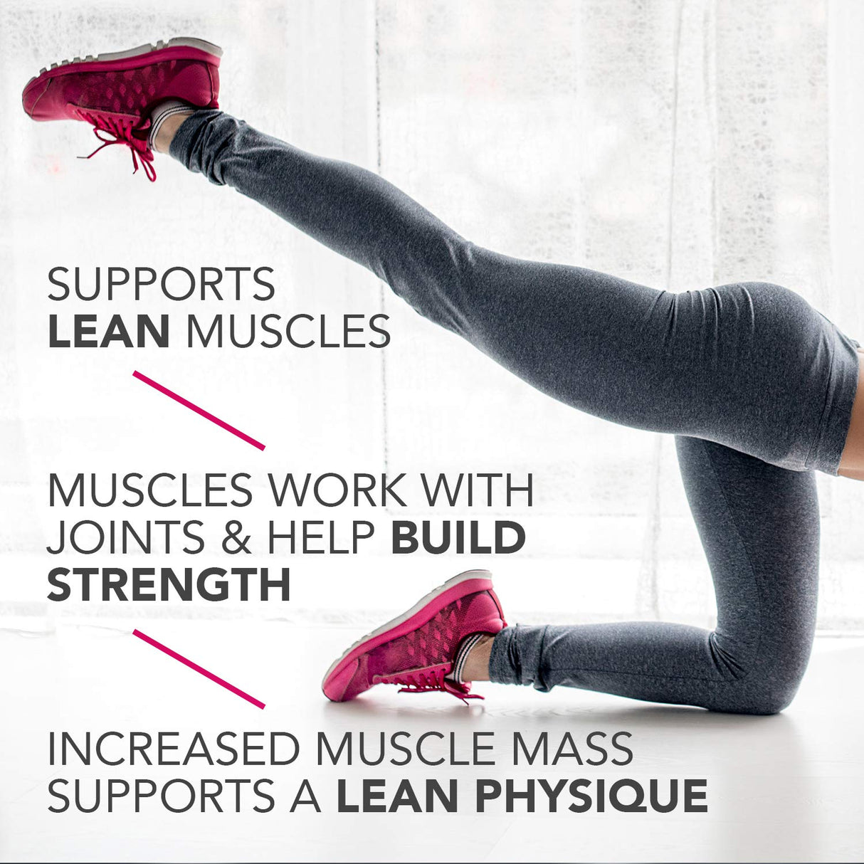 Barras de proteína pura