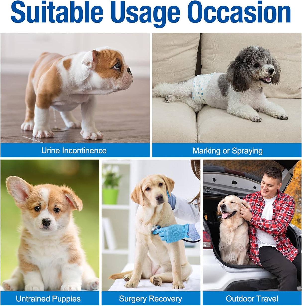 Pañales Pet Soft para perro, desechables, para perros macho, xs