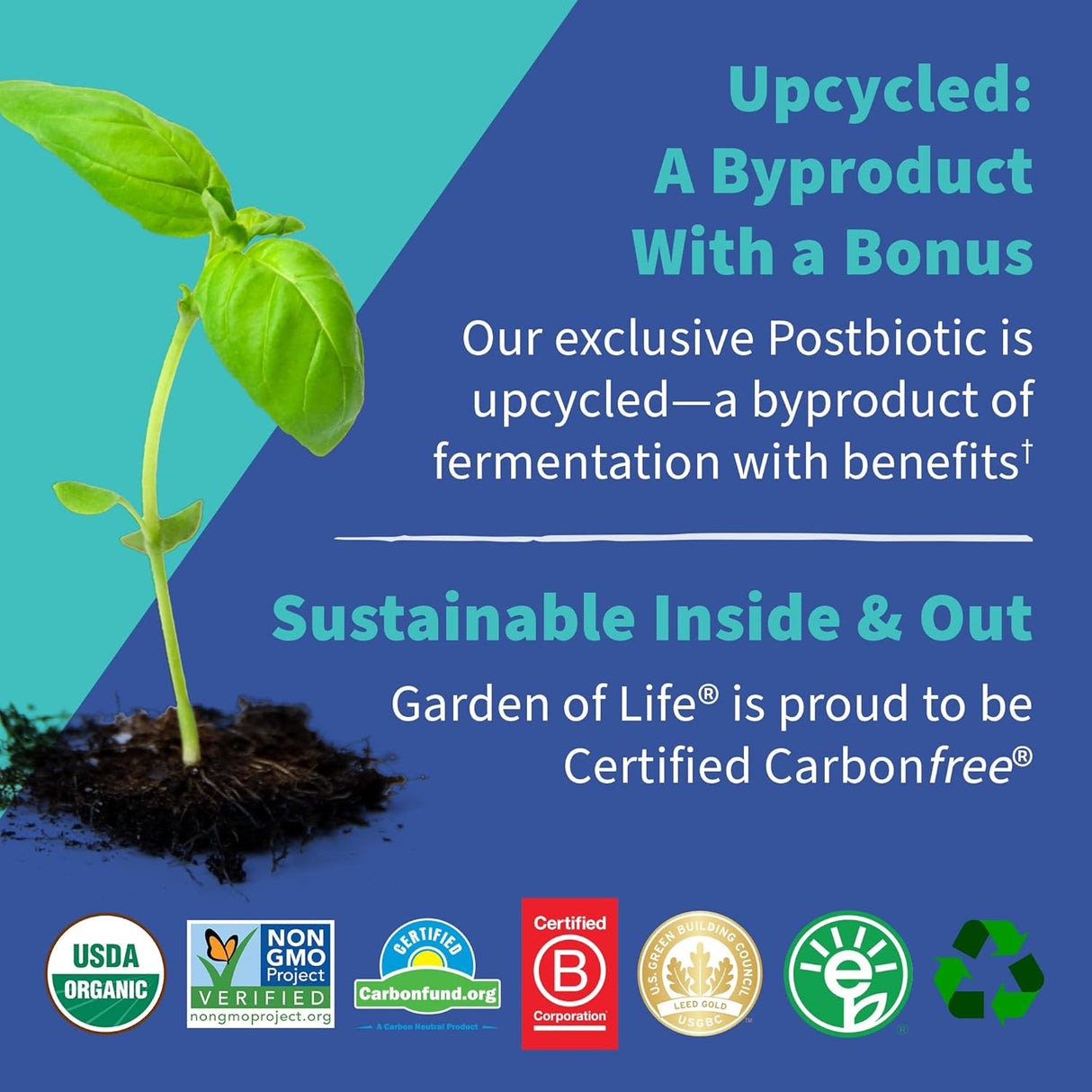 Suplementos Alimenticios probióticos completos 3 en 1