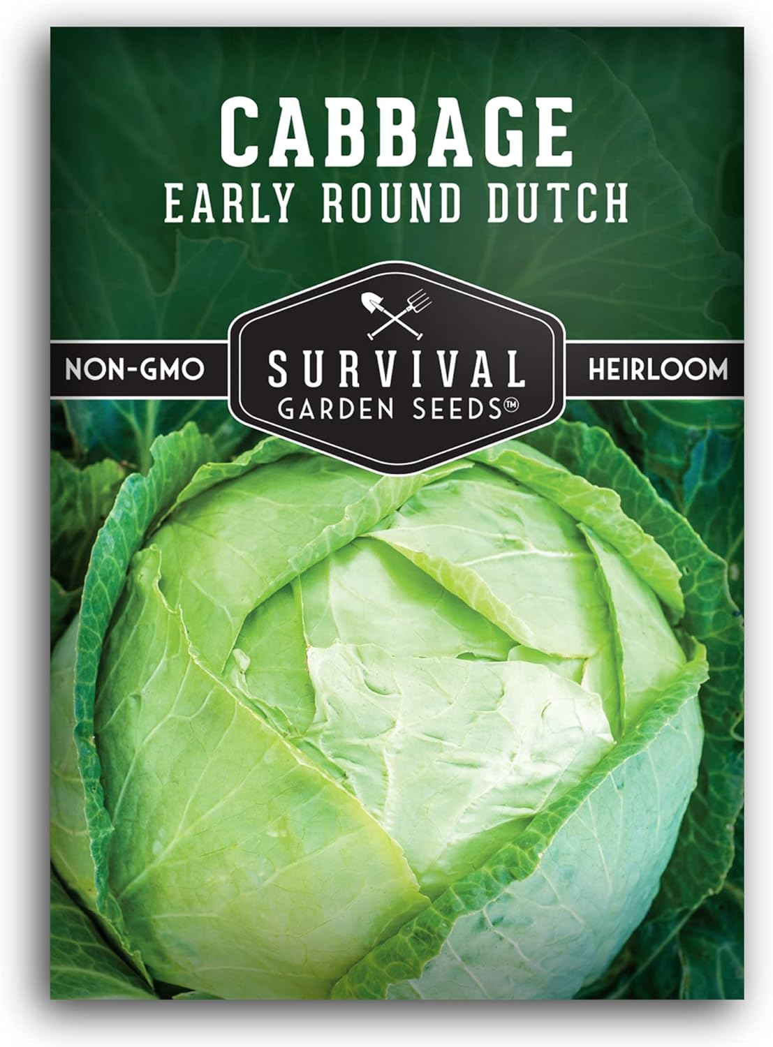 Semillas de Repollo Dutch - Survival Garden - No GMO, Heirloom